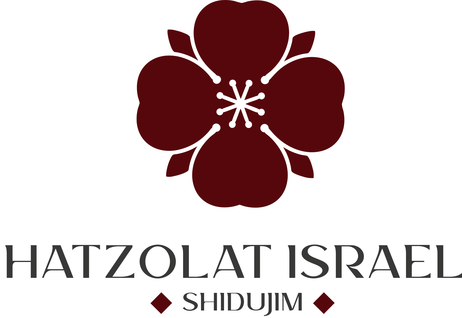 Hatzolat Israel Shidujim